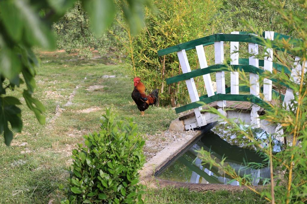 Готель Agrotourism Galic Krka Drinovci Екстер'єр фото